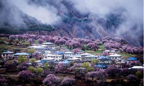 波密到林芝之间有做什么山,波密的油价和林