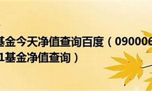 090006基金价值_090006基金今天净值估价查询