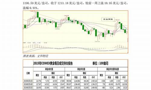 金价展望_金价反弹会议报告