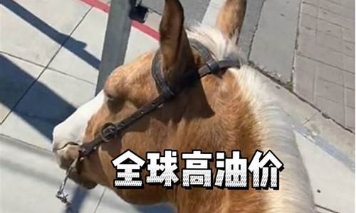 油价上涨买车的人少吗_油价太高选择骑马